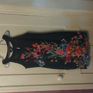 Sleeveless Dress, size 14, Midnight Velvet